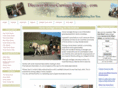 discover-horse-carriage-driving.com