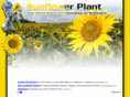 sunflower-plant.com