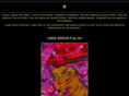 lindabraunabstract.com