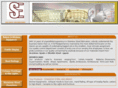 salgadoengi.com