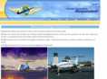 bizflightcharter.com