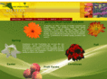 meyersfruitfarms.com