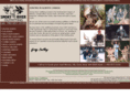 smokyriveroutfitting.com