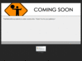 thedettoregroup.com