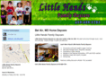littlehandsfamilydaycare.com