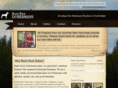 blackrockdobermans.com