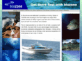 bluzone.com