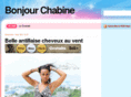 bonjourchabine.com