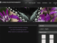 ddiphotography.com