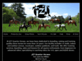 jzt-quarterhorses.com