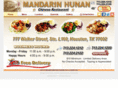 mandarinhunan.com