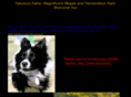 bordercolliehome.net