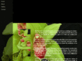 mafleuriste.com