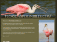 floridaspoonbills.com