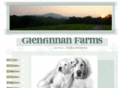 glenfinnanfarms.net