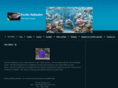 reefcityaquarium.com