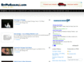 seemychicago.com