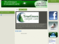 trugreencarpetcare.com