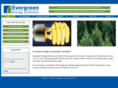 evergreensolves.com