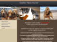 bloodhoundchihuahua.com