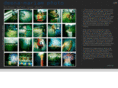 deenaphoto.com