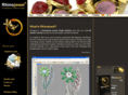rhinojewel3d.com