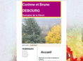 beaujolais-debourg.com