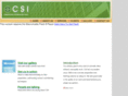 csicreativesurfaces.com