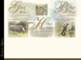sedibasafaris.com