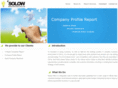 solow-marketing.com