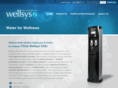 wellsysusa.com