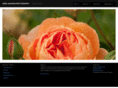 avetlens.com