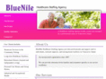 bluenilehealthcare.com