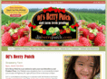 djberrypatch.com