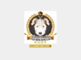 dog-superstar.com