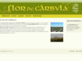 flordecarbula.com
