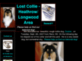 lostcollie.com