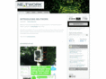 nextwork.com