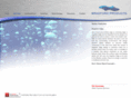 spilloverspa.com