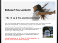 birkesaft.com