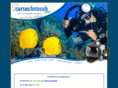 cursosfotosub.com
