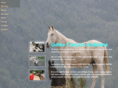 gatescanyonarabians.com