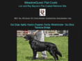 meadowquest.com
