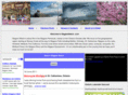 niagarawatch.com