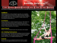 ashevilleaerialarts.com