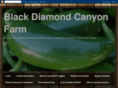 blackdiamondcanyonfarm.com