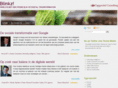 blinkz.nl