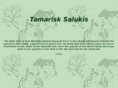 tamarisksalukis.com