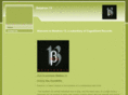betatron13.com