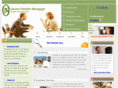 premiertex.com